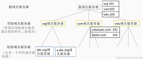 服務基礎第一階段第六節 Windows系統管理基礎——DNS部署與安全，助力信息系統運行維護服務